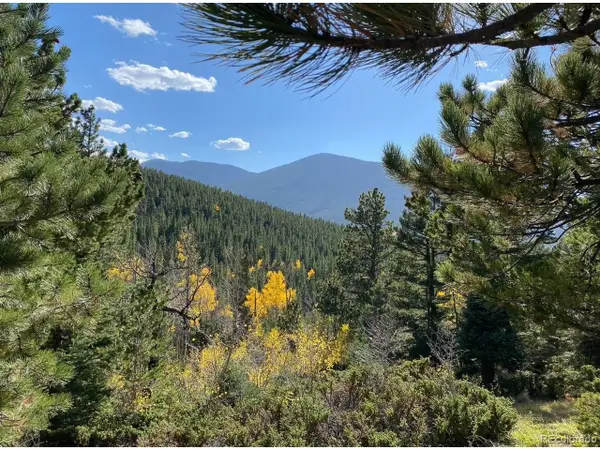 2700 Purnell Ln, Fort Garland, CO 81133