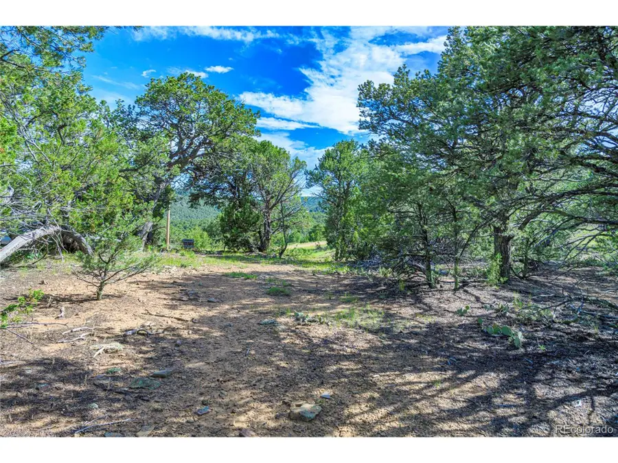 32498 Lower Spur, Aguilar, CO 81020 - Image #3