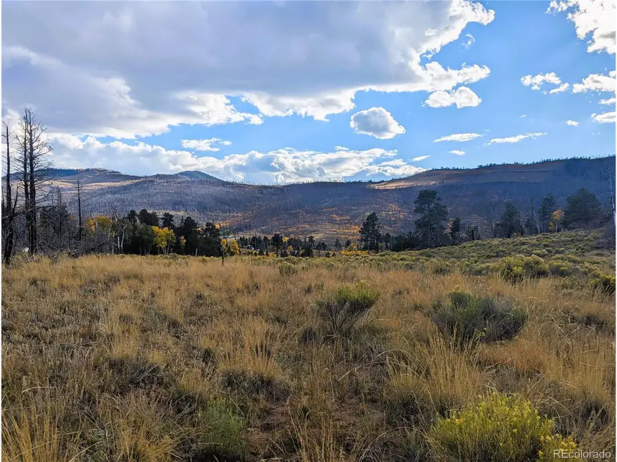 1129 Laker Ln, Fort Garland, CO 81133 - #3