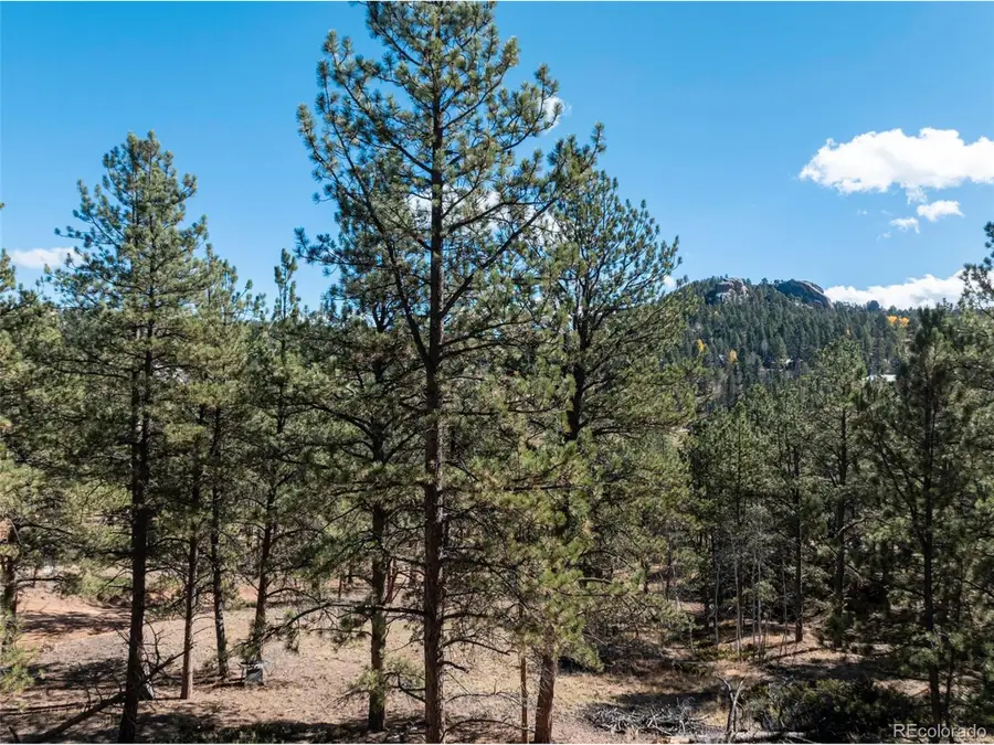 205 Stonehenge Dr, Florissant, CO 80816 - Image #2