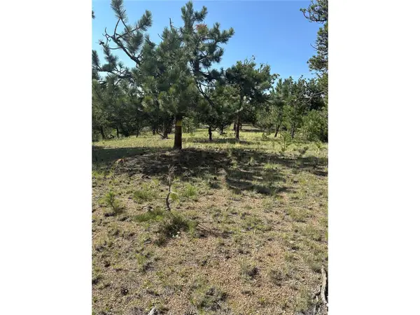 315 Thunder Ridge Rd, Florissant, CO 80816