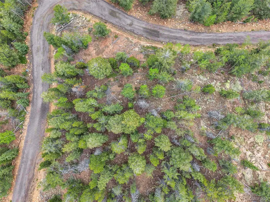 0 Mule Slide Trl, Conifer, CO 80433 - #3