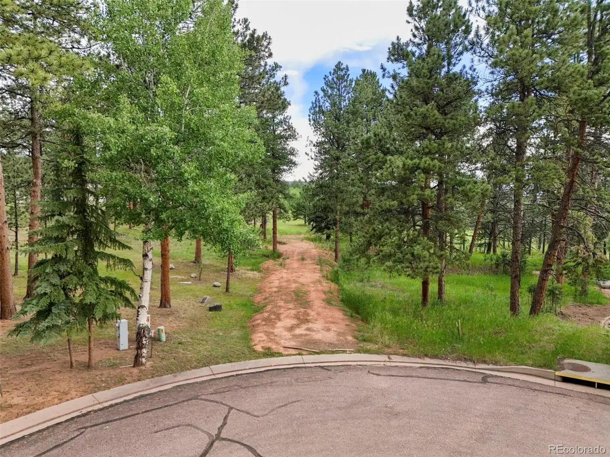 220 Wildrose Ct, Woodland Park, CO 80863 - Image #1