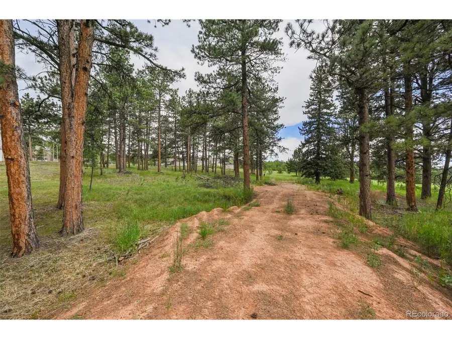 220 Wildrose Ct, Woodland Park, CO 80863 - Image #3