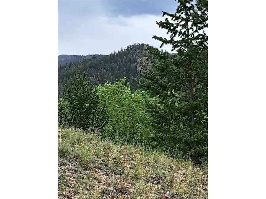 639 Spade Pl, Jefferson, CO 80456 - Image #3