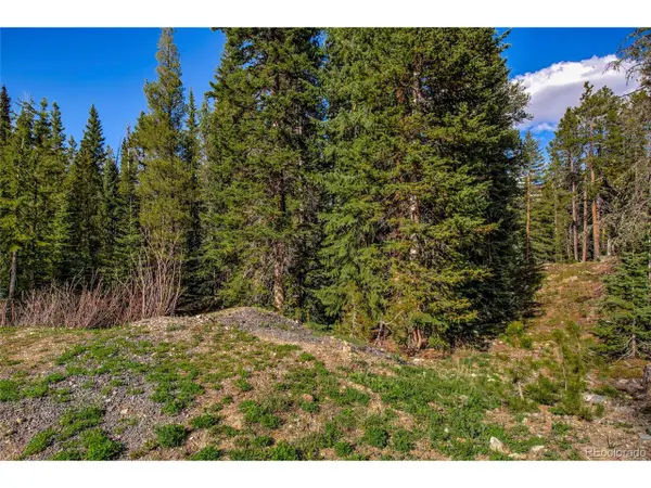 Address Withheld By Seller, Breckenridge, CO 80424