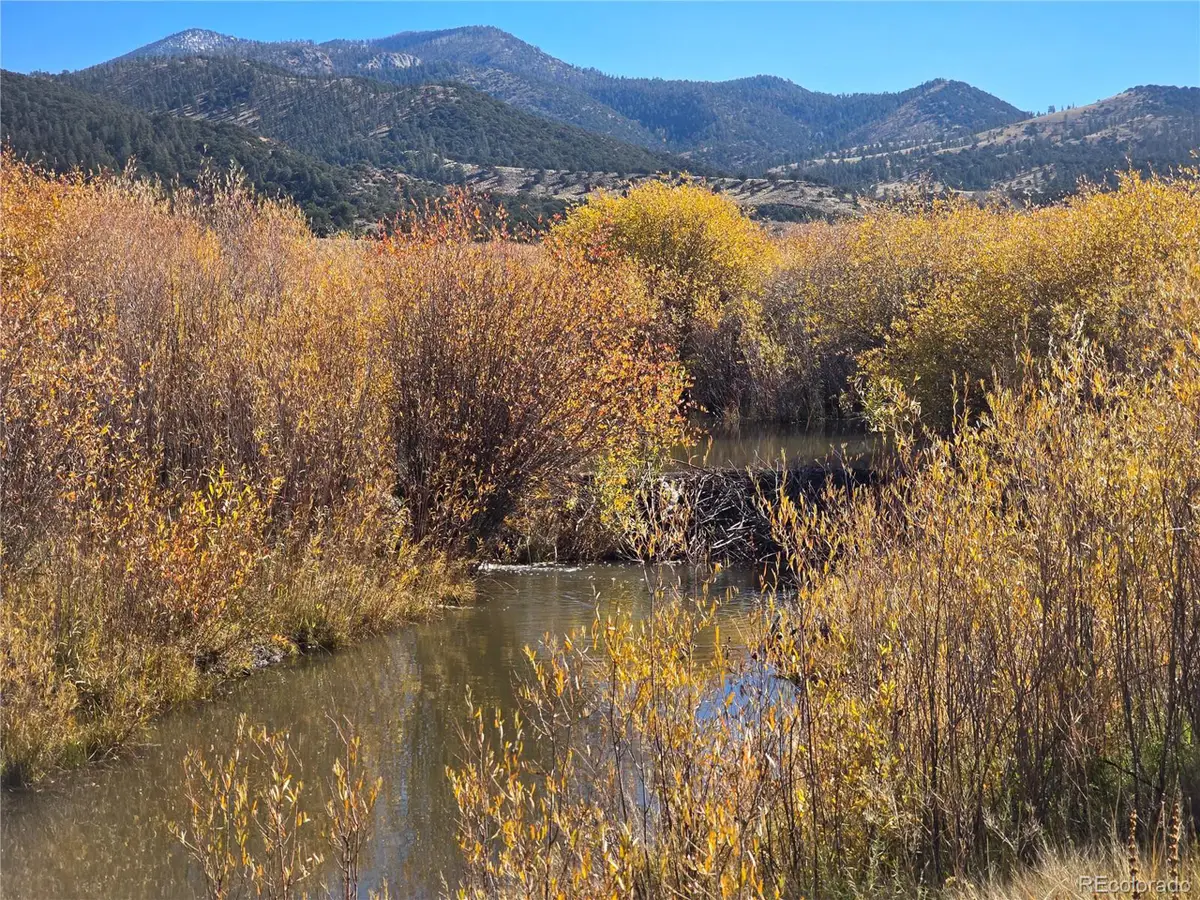 7542 Indian Creek Rd, Fort Garland, CO 81133 - #1