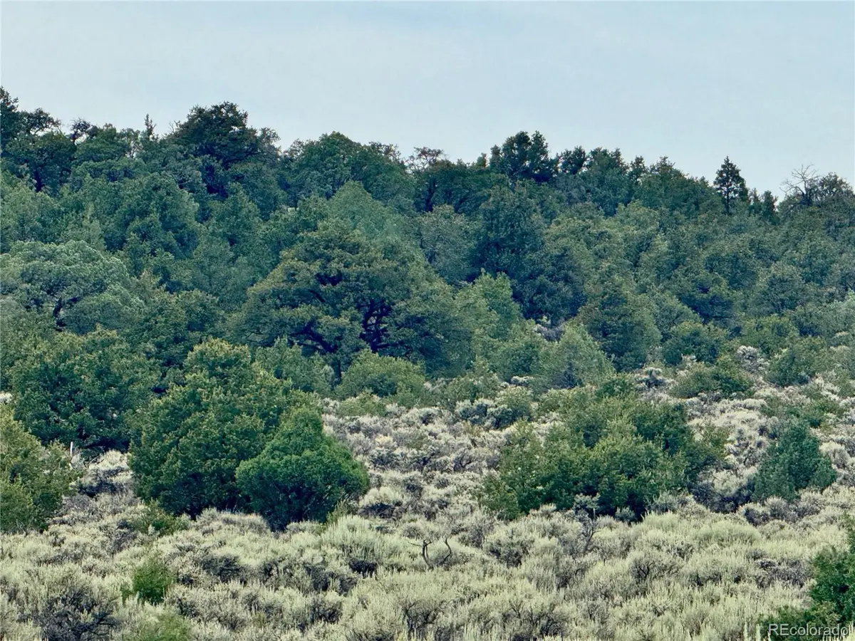 38 Wildhorse Dr, San Luis, CO 81152 - #1