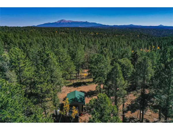 3447 Pathfinder Rd, Florissant, CO 80816