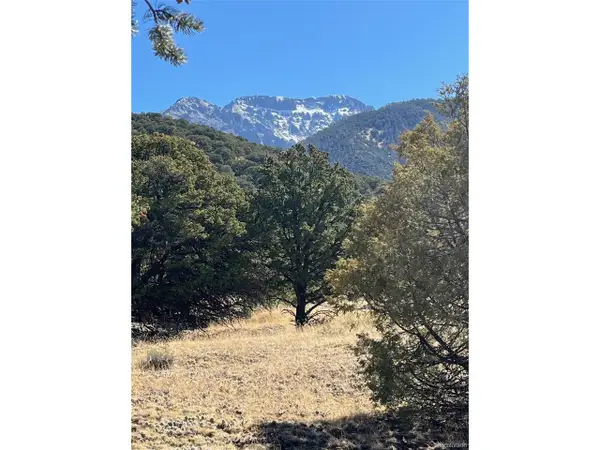 1718 Willow Creek Way, Crestone, CO 81131