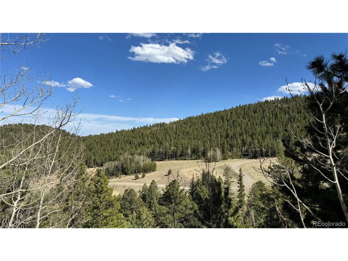 5 Pewabic Mine Rd, Central City, CO 80427 - #1