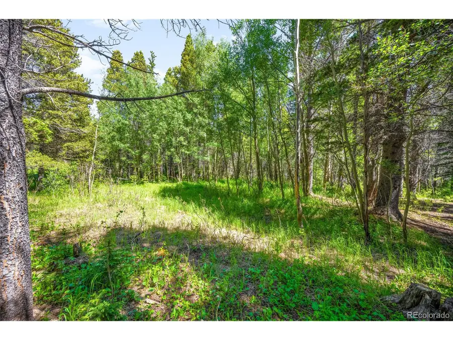 112 Deer Rd, Idaho Springs, CO 80452 - #3