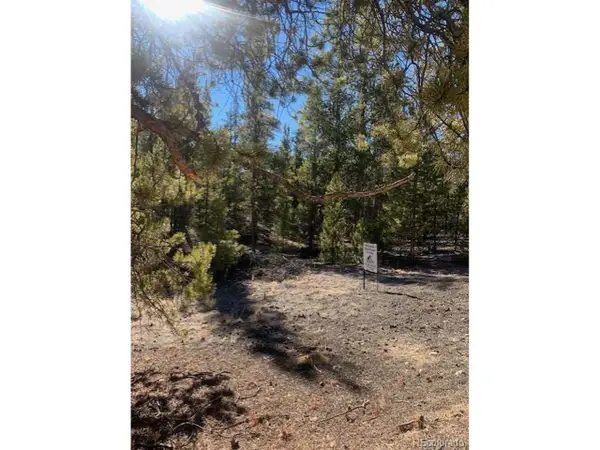 180 Peak View Dr, Twin Lakes, CO 81251