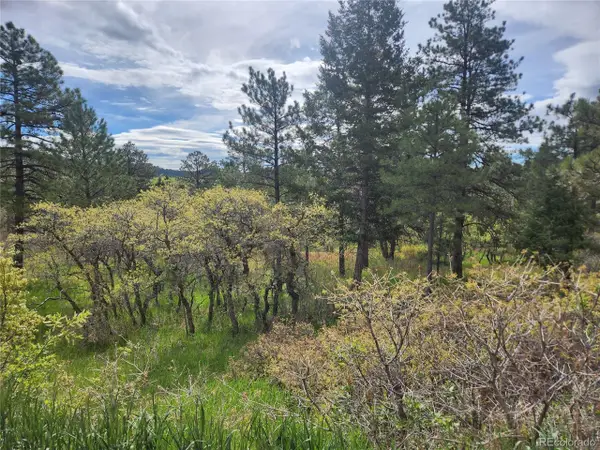 Address Withheld By Seller, Palmer Lake, CO 80133