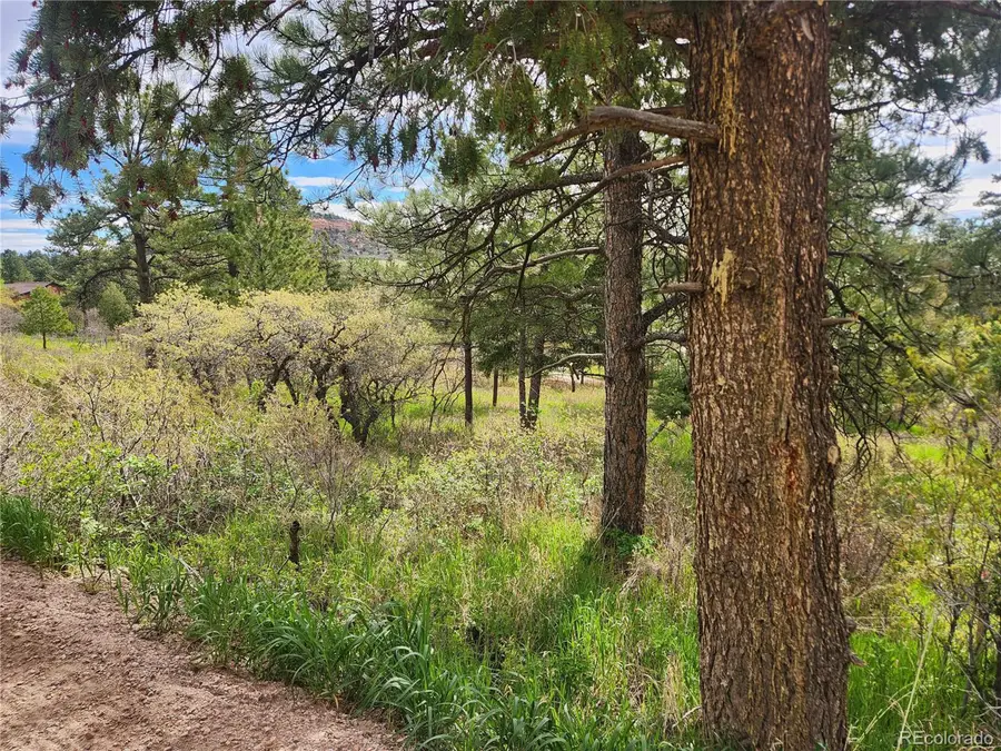 Address Withheld By Seller, Palmer Lake, CO 80133 - Image #2