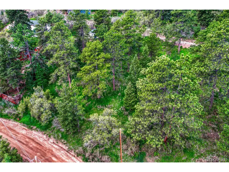 Address Withheld By Seller, Palmer Lake, CO 80133 - Image #3