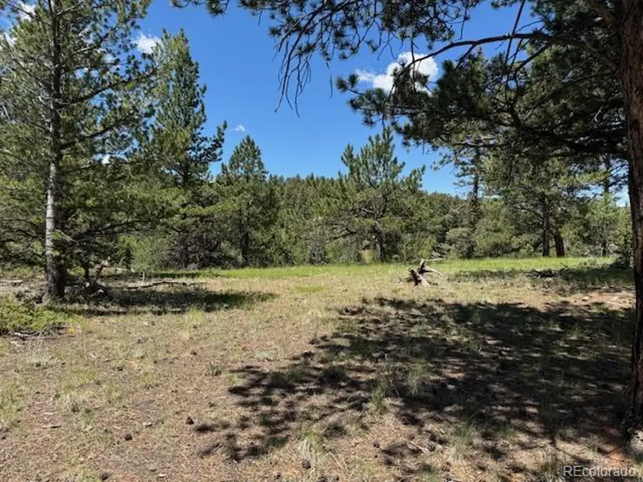 209 Kenosha Cir, Divide, CO 80814 - #2