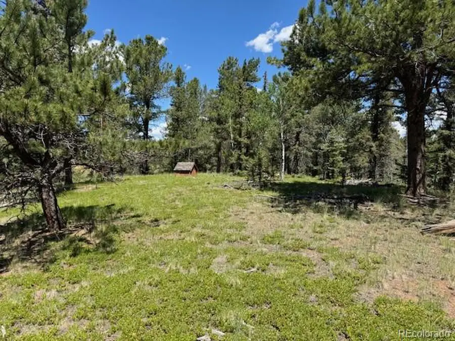 209 Kenosha Cir, Divide, CO 80814 - #3