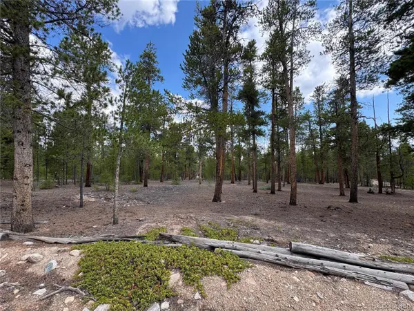 719 Peak View Dr, Twin Lakes, CO 81251