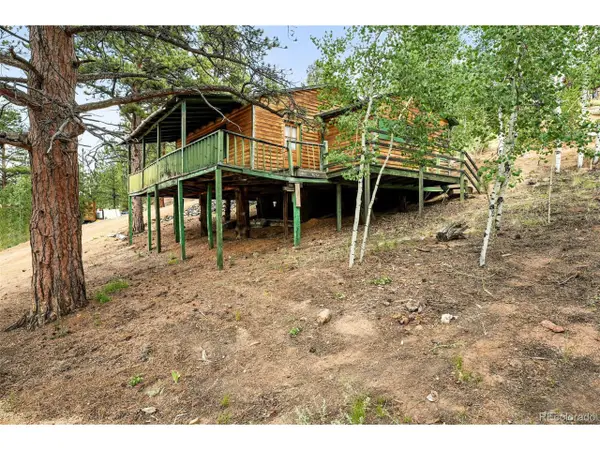 132 Jones Rd, Bailey, CO 80421