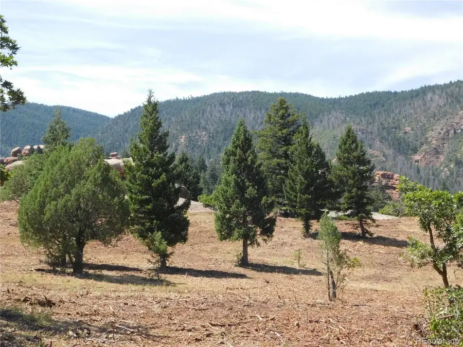 6382 Country Club Dr, Larkspur, CO 80118 - Image #3