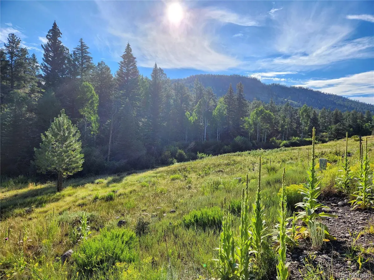 274 Church Creek, South Fork, CO 81154 - #1