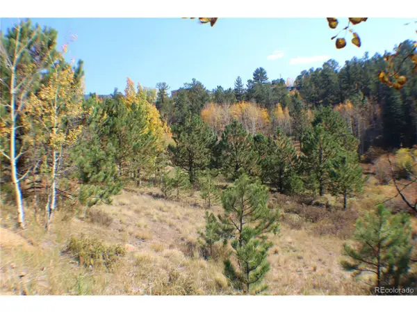 2020 Shelton Dr, Bailey, CO 80421