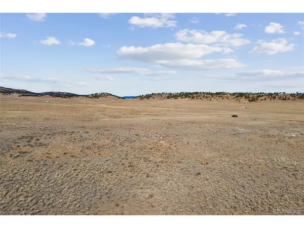 976 S Margaret Pl, Hartsel, CO 80449