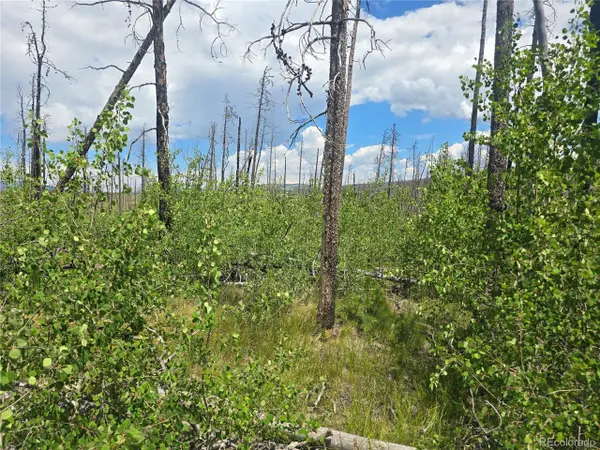 1460 Von Hyle Ln, Fort Garland, CO 81133