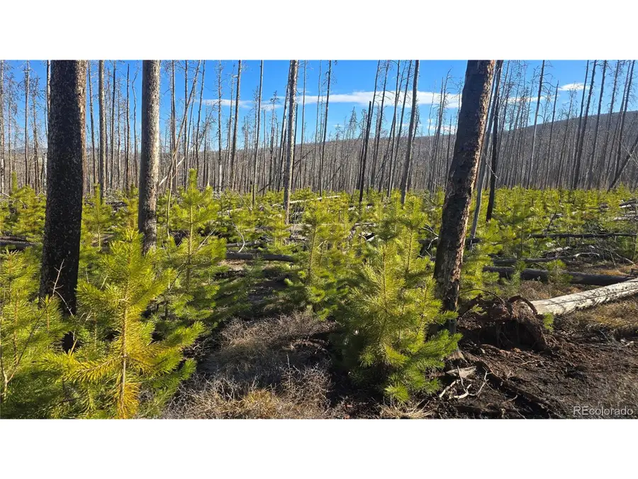 1460 Von Hyle Ln, Fort Garland, CO 81133 - Image #2