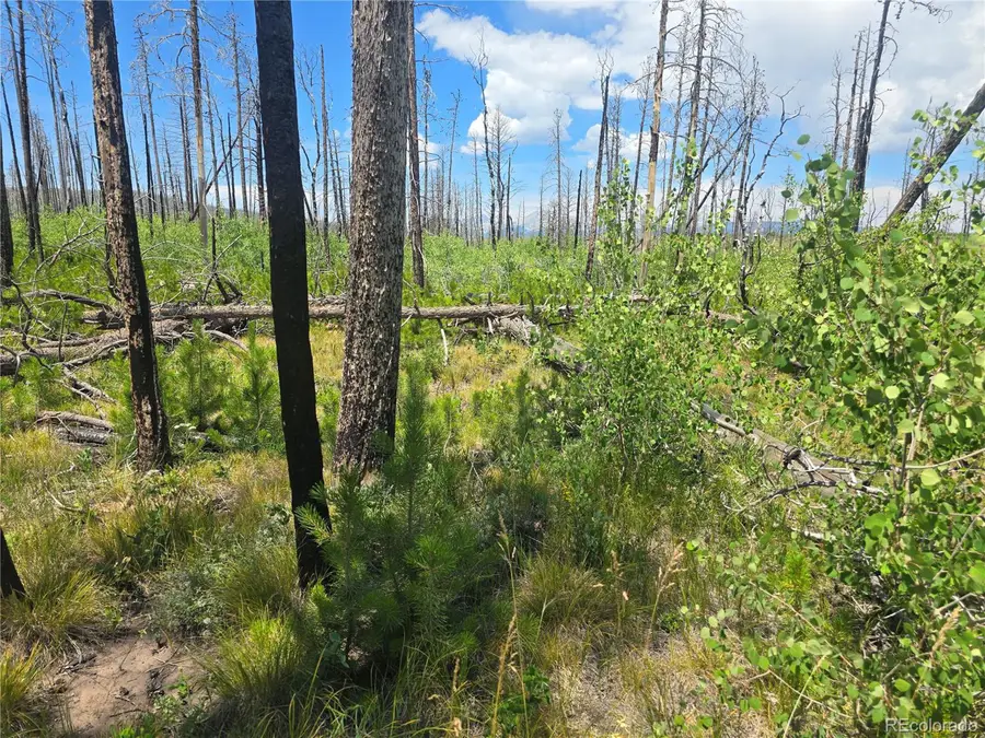 1460 Von Hyle Ln, Fort Garland, CO 81133 - Image #3