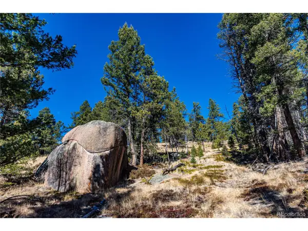 0 Arrowhead Rd, Florissant, CO 80816