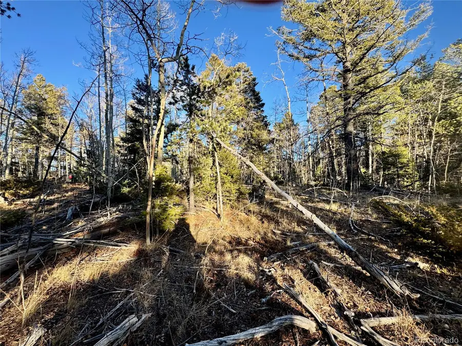 5888 Loubier Rd, Fort Garland, CO 81152 - Image #2