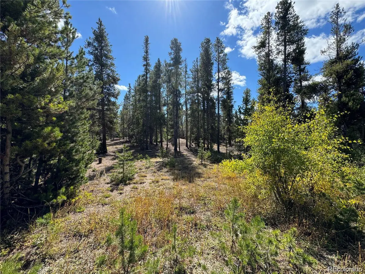 517 Augusta Dr, Leadville, CO 80461 - Image #1