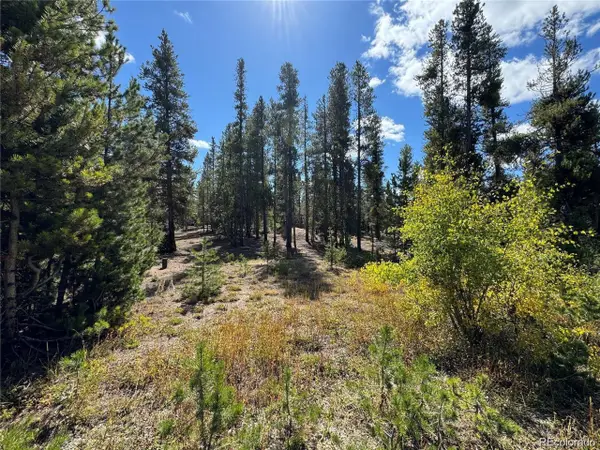 517 Augusta Dr, Leadville, CO 80461