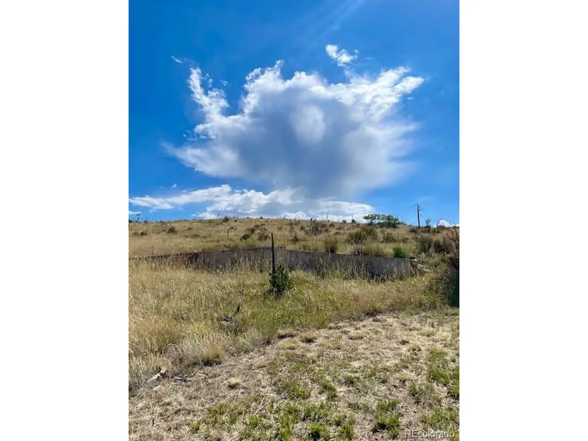 1971 County Road 27a, Cotopaxi, CO 81223 - #1
