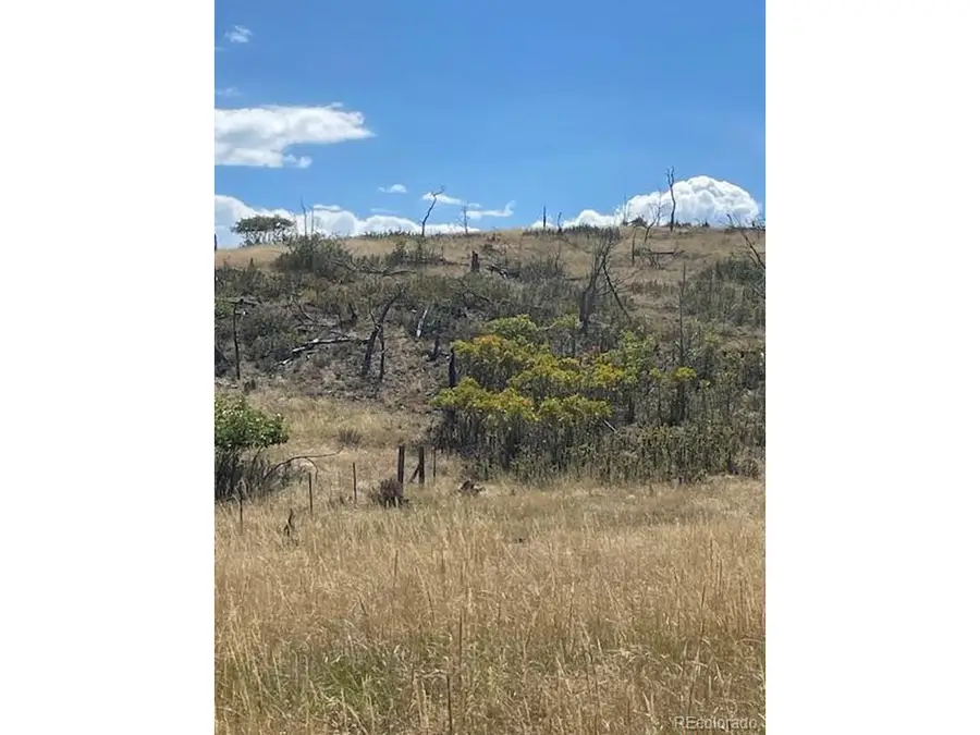 1971 County Road 27a, Cotopaxi, CO 81223 - #3