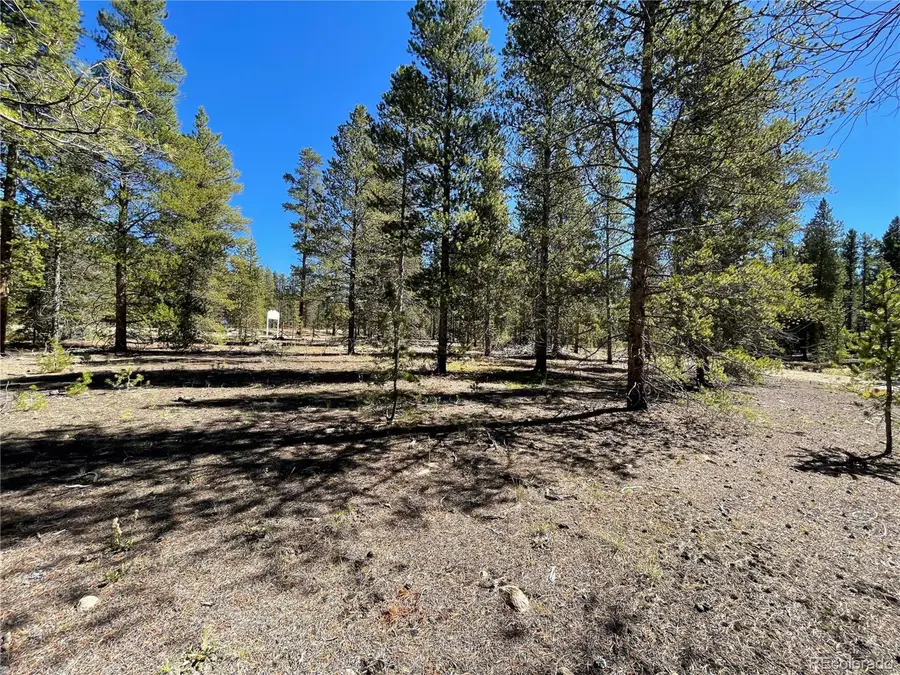 100 Virginia Ave, Leadville, CO 80461 - Image #3