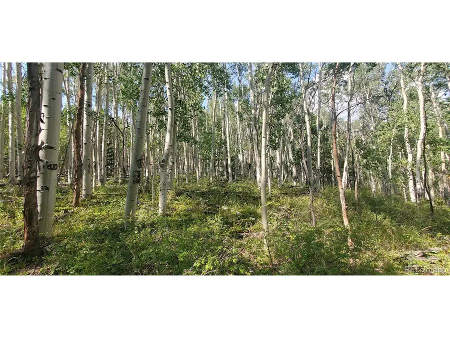 Address Withheld By Seller, Fort Garland, CO 81133 - Image #2