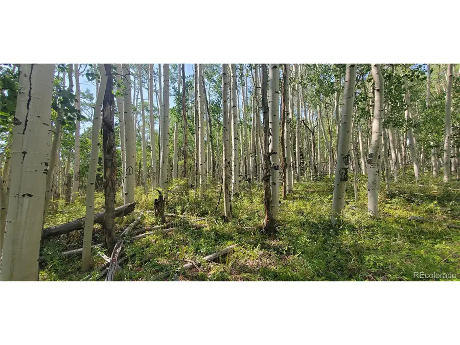 Address Withheld By Seller, Fort Garland, CO 81133 - Image #3