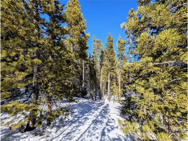 234 Alice Rd, Idaho Springs, CO 80453