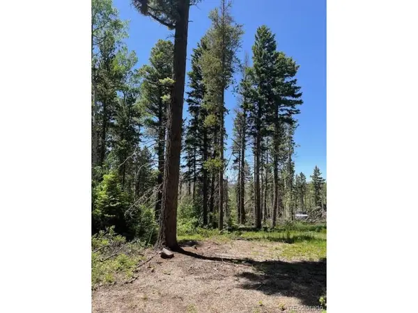 2449 Petito Dr, Fort Garland, CO 81133