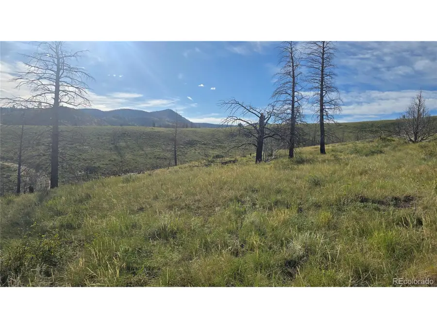 7719 Hallstein Rd, Fort Garland, CO 81133 - Image #2