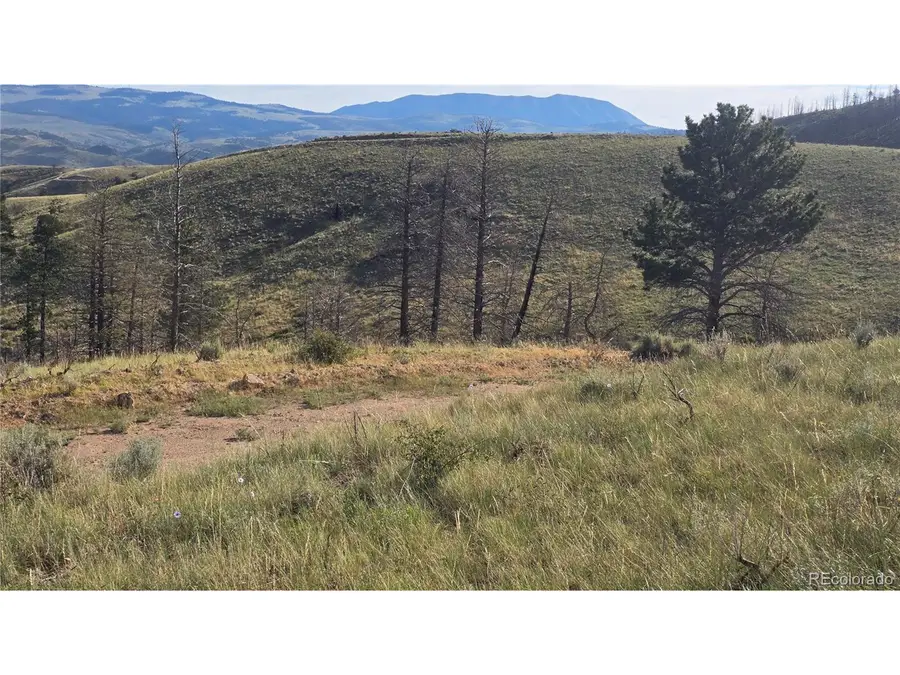 7719 Hallstein Rd, Fort Garland, CO 81133 - Image #3