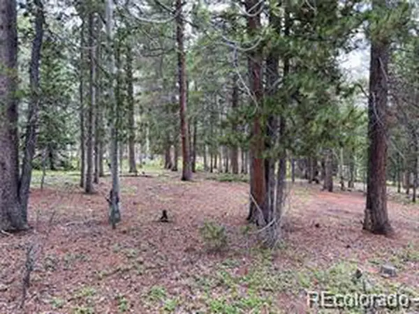 Address Withheld By Seller, Evergreen, CO 80439