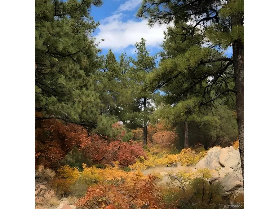 15111 Elk Mountain Trl, Littleton, CO 80127 - Image #3