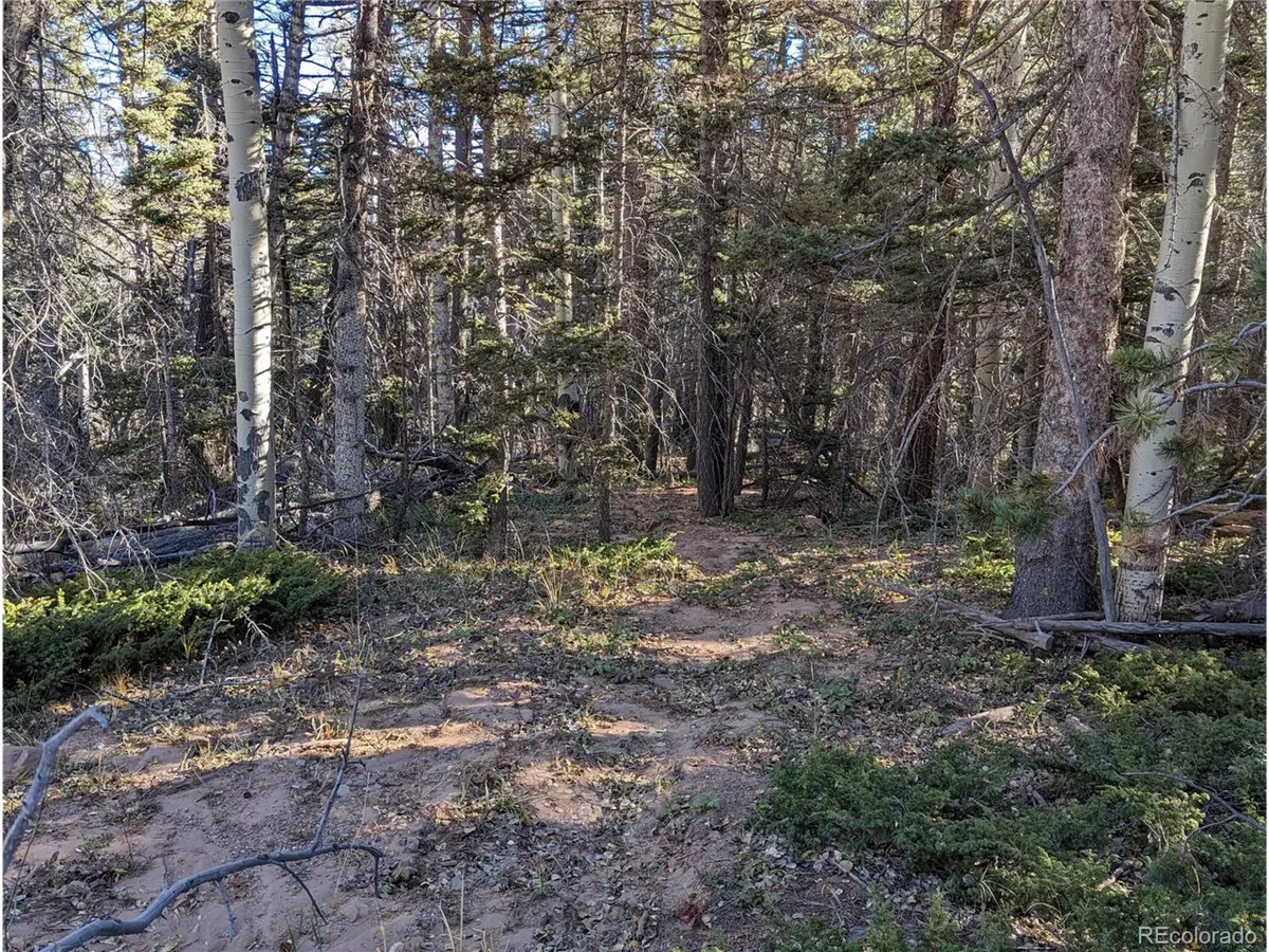 3067 Forbes Park Loop, Fort Garland, CO 81133 - #1