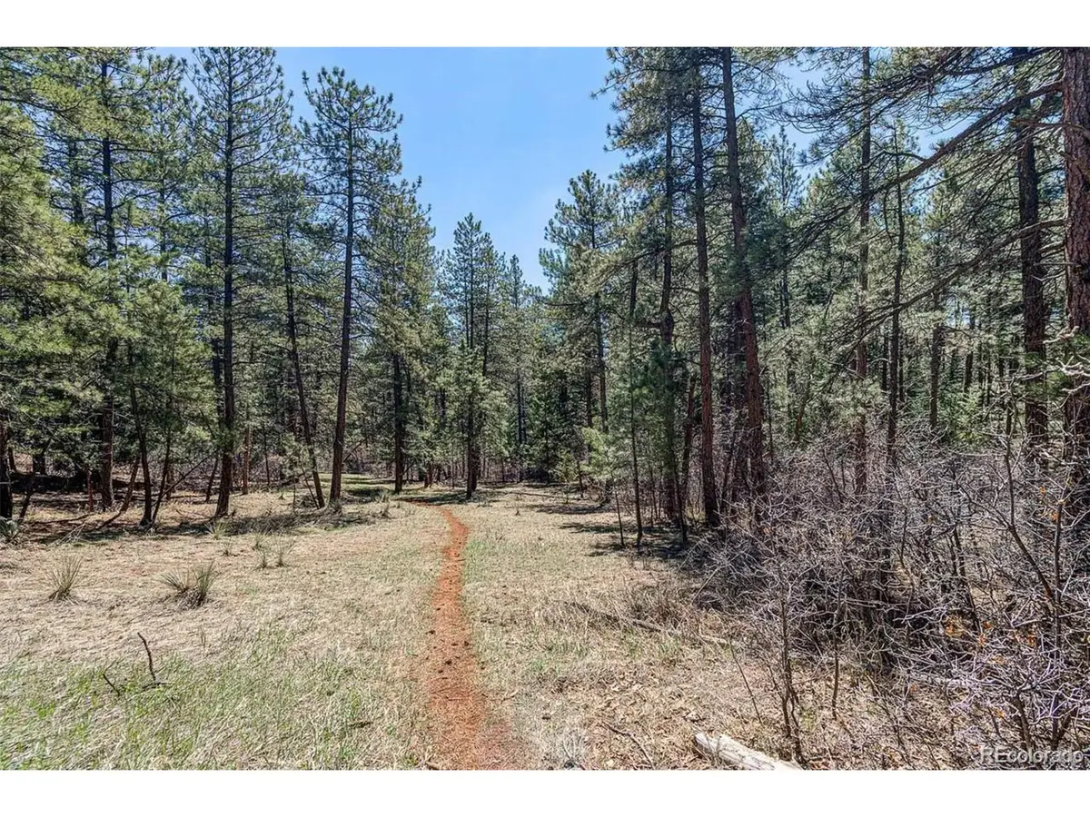 8173 Bannock Dr, Larkspur, CO 80118 - #1