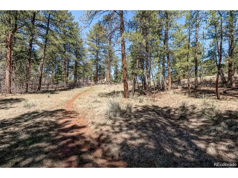 8173 Bannock Dr, Larkspur, CO 80118 - #2