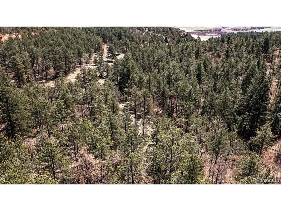 8173 Bannock Dr, Larkspur, CO 80118 - #3